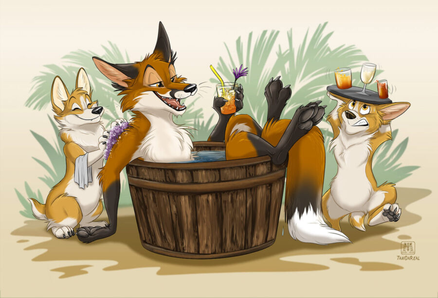 The Corgi Spa